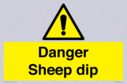 danger-sheep-dip~